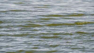 В Уральске наблюдается спад уровня воды в реке Жайык