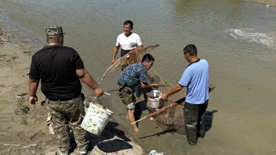 Более 600 кг мальков спасли из обмелевшего канала в Атырауской области