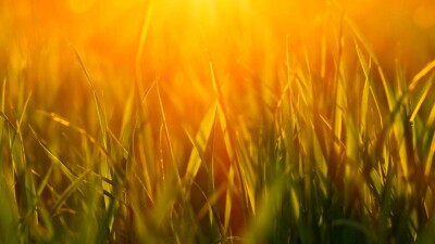 "Казгидромет": Летом температура не дойдёт до 40 градусов