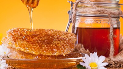 "38% – фальсификат". Депутат просит усилить контроль над импортом российского мёда в Казахстан