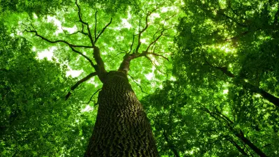 Дорогой сквер: депутат заявил, что проданный за 176 млн тенге участок возле ТРЦ "Керуен" вернули за миллиард