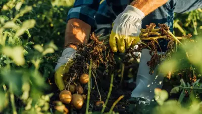 "КазАгроФинанс" запускает новую программу лизинга для сельхозпроизводителей