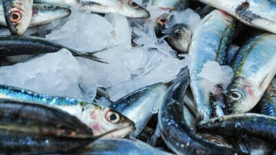 Глава Комитета рыбного хозяйства Минсельхоза подозревается в коррупции