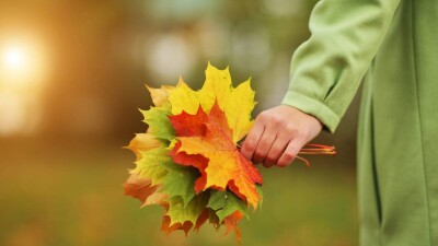 Похолодание прогнозируют в Казахстане