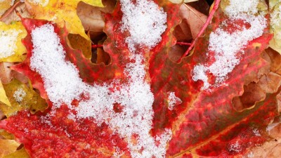 Дождь и снег прогнозируют в Казахстане в ближайшие три дня