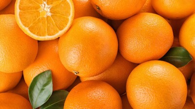 Какие продукты могут подорожать в Казахстане, ответил вице-премьер