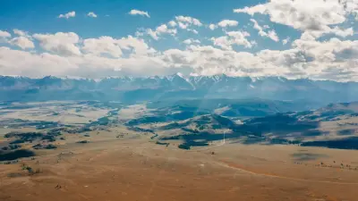 В Жамбылской области акимы передали родственникам права на землю: что решил суд