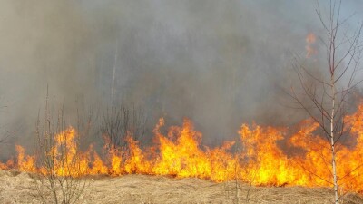 В соцсетях распространяется ложная информация о пожаре в Каркаралинском районе – прокуратура