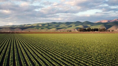 60 млрд тенге из резерва правительства привлекут для проведения весенне-полевых работ