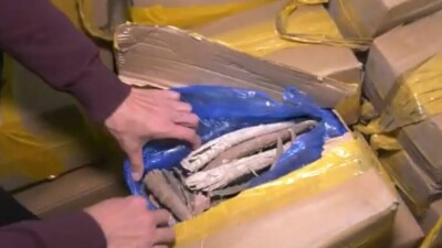 У гражданина Китая изъяли 4500 рогов сайгака в Алматы