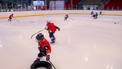 Акимат Астаны рассматривает вопрос возврата контроля над крупными спорткомплексами, которыми управляет частная компания