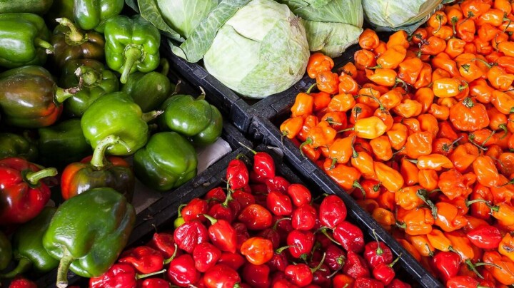 Сельхозярмарка отечественных продуктов возобновит работу в Астане
