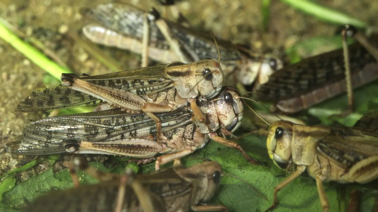 Фото Depositphotos.com