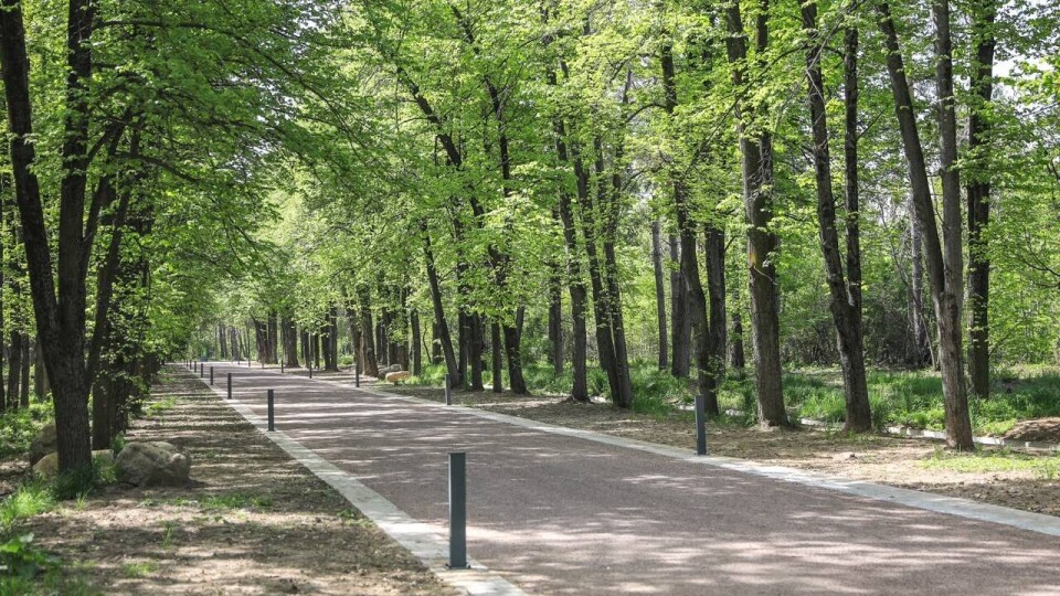 Ботанический сад Алматы не будет работать 11 июля