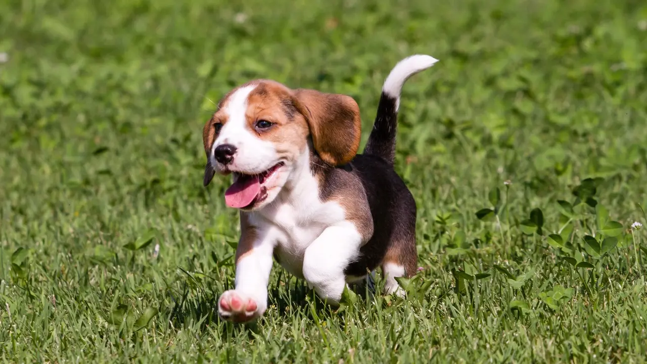 Фото Depositphotos.com