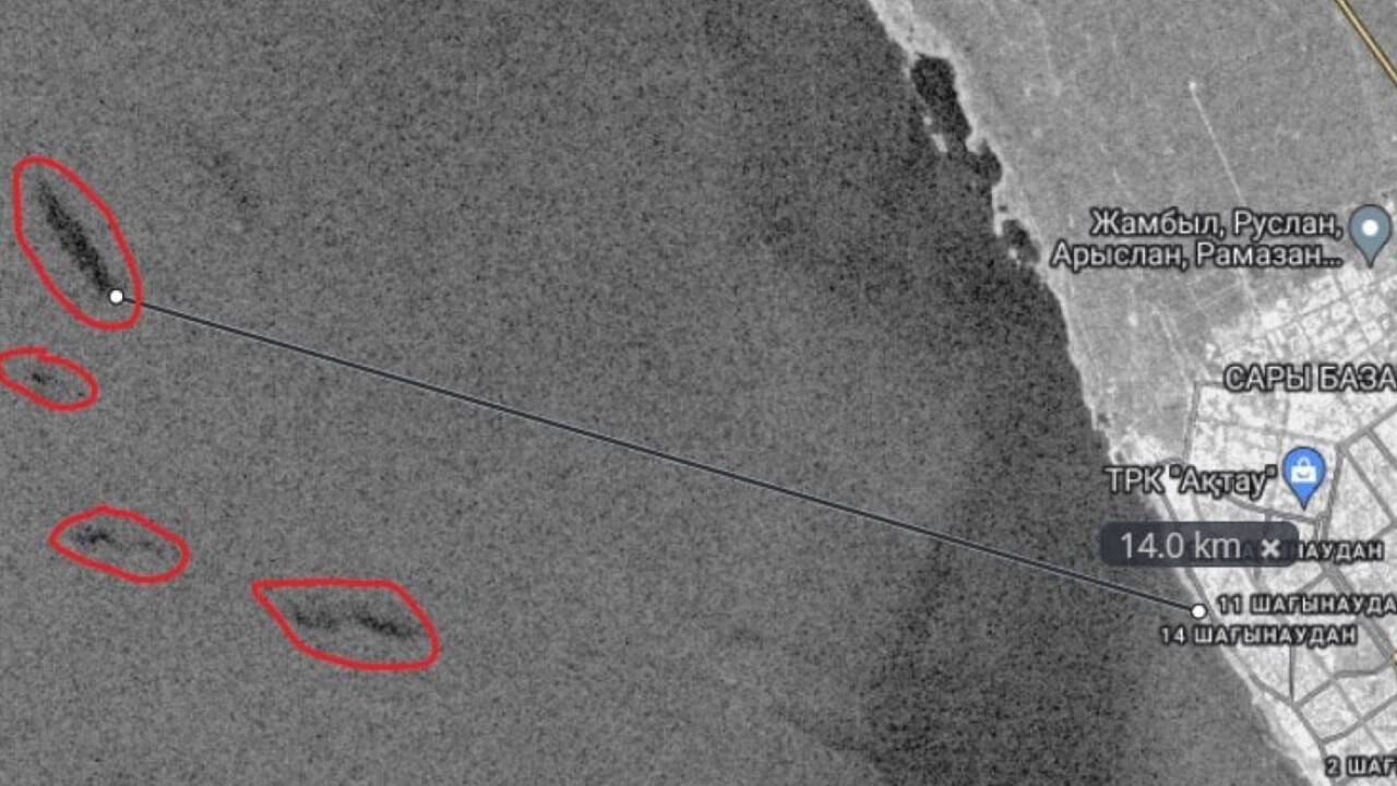 Фото: Telegram-канал "Прозрачный мир на Каспии"