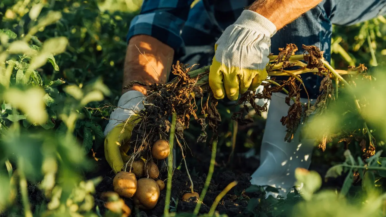 Фото Depositphotos.com