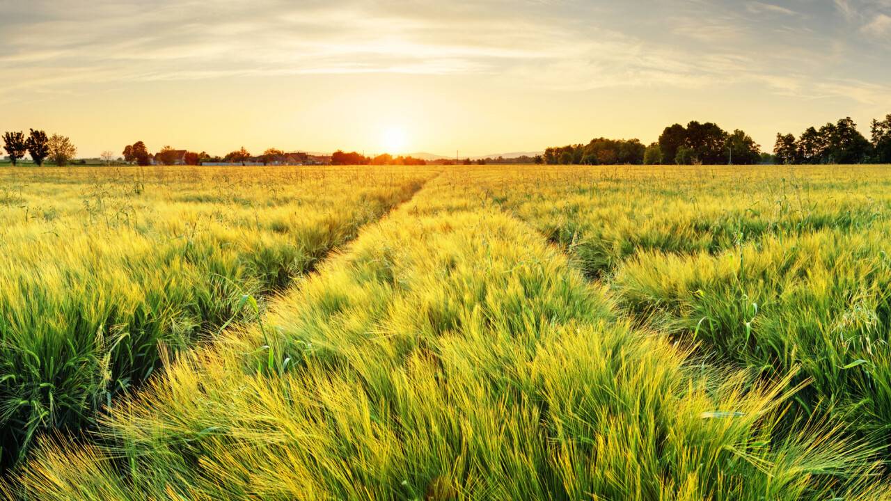 Фото Depositphotos.com