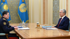 Глава МВД доложил Токаеву о сокращении числа преступлений в 2024 году