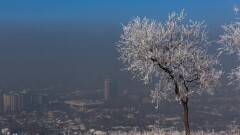 "К сожалению, слово не дам". Досаев не гарантирует улучшения качества воздуха в Алматы