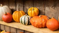 Фермерская ярмарка пройдет в Астане 17 и 18 октября. Что предложат покупателям
