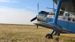 Ан-2 совершил вынужденную посадку в Кызылординской области: спасатели ночью искали экипаж