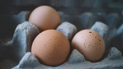 Цены на куриные яйца зафиксируют в Алматы: сколько они будут стоить
