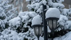 Почти половина месячной нормы осадков выпала за ночь в Алматы