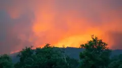 Лесные пожары в Турции добрались до курортов, отдыхающих эвакуируют