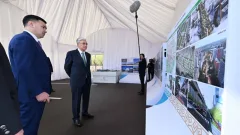 План по благоустройству Астаны представили президенту