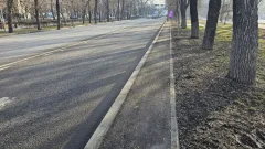 На нескольких улицах Алматы проложат технические тротуары: для чего они нужны