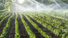 Заявление о нехватке поливной воды в районе Жамбылской области проверил "Казводхоз"