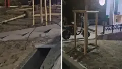 Недавно высаженные деревья убрали с одной из улиц Алматы