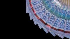 Бухгалтера детсада в ВКО подозревают в хищении 42 млн бюджетных тенге