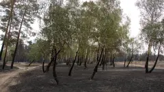 Утренний облёт Каркаралинского района не выявил новых очагов пожара