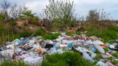 Почти 1000 человек наказали за стихийные свалки в Мангистау