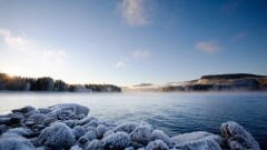 Автомобиль, упавший в реку в Абайской области, извлекли из воды