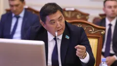 "Ни аналитики, ни поправок". Базарбек раскритиковал Минэкономики и получил комплимент от Кошанова