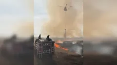 Сухая трава загорелась в Северо-Казахстанской области: пожар тушат с воздуха