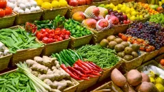 Сельскохозяйственная ярмарка пройдёт в Астане 16 и 17 мая