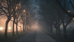 Туман и усиление ветра прогнозируют синоптики в Казахстане в ближайшие дни