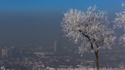 "К сожалению, слово не дам". Досаев не гарантирует улучшения качества воздуха в Алматы