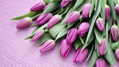 Дешёвыми тюльпанами заманивают казахстанцев мошенники в преддверии 8 Марта