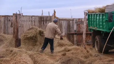 В Казахстане увеличат квоту на привлечение иностранной рабочей силы по разрешениям акиматов