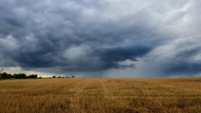 Навредят ли дожди в Казахстане будущему урожаю