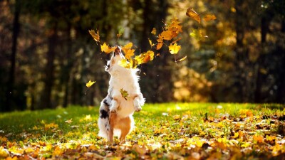 Тепло возвращается в Казахстан