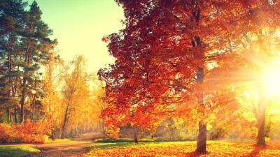 Морозные и жаркие дни: какая погода ожидает казахстанцев в октябре