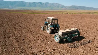Посевную кампанию завершили в Казахстане: Минсельхоз озвучил итоги