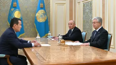 Токаев принял главу Высшей аудиторской палаты