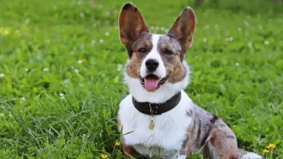 42-градусная жара придёт на юг Казахстана